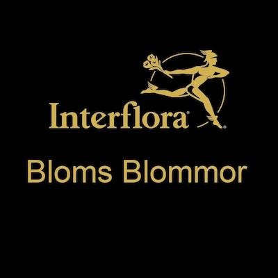 Bloms Blommor Aktiebolag logo