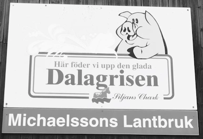 Michaelsson, Anders Mikael logo