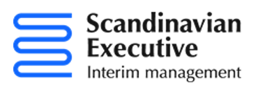 Scandinavian Executive AB logo