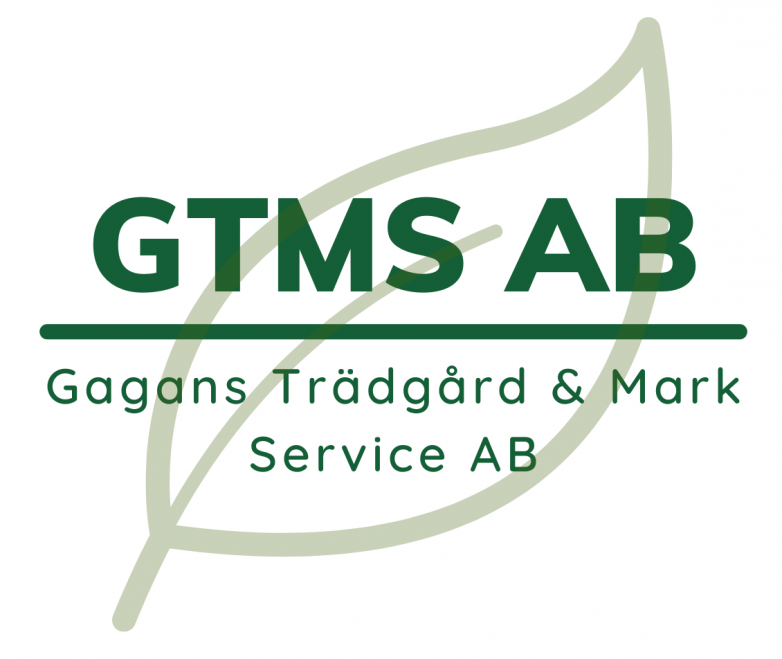 GTMS AB logo