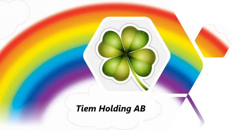Tiem Holding AB logo