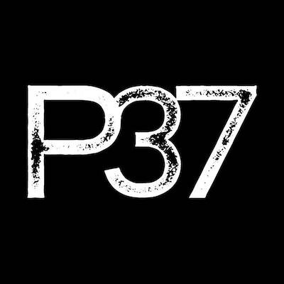 P37 GROUP AB logo
