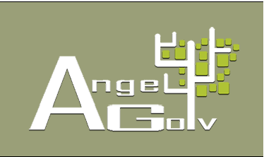 AGV Golv AB logo