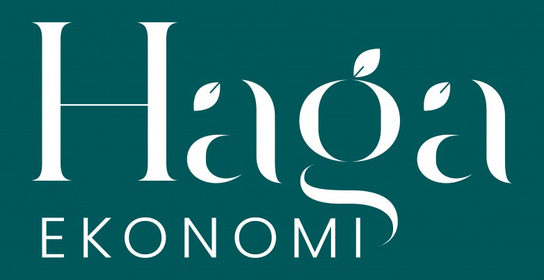 Hagahuset Ekonomi AB logo