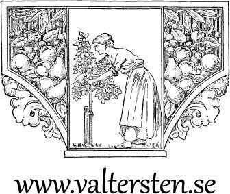 www.valtersten.se