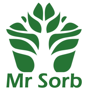 Mr Sorb