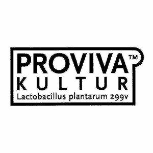 PROVIVA KULTUR Lactobacillus plantarum 299v