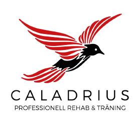 CALADRIUS, PROFESSIONELL REHAB & TRÄNING