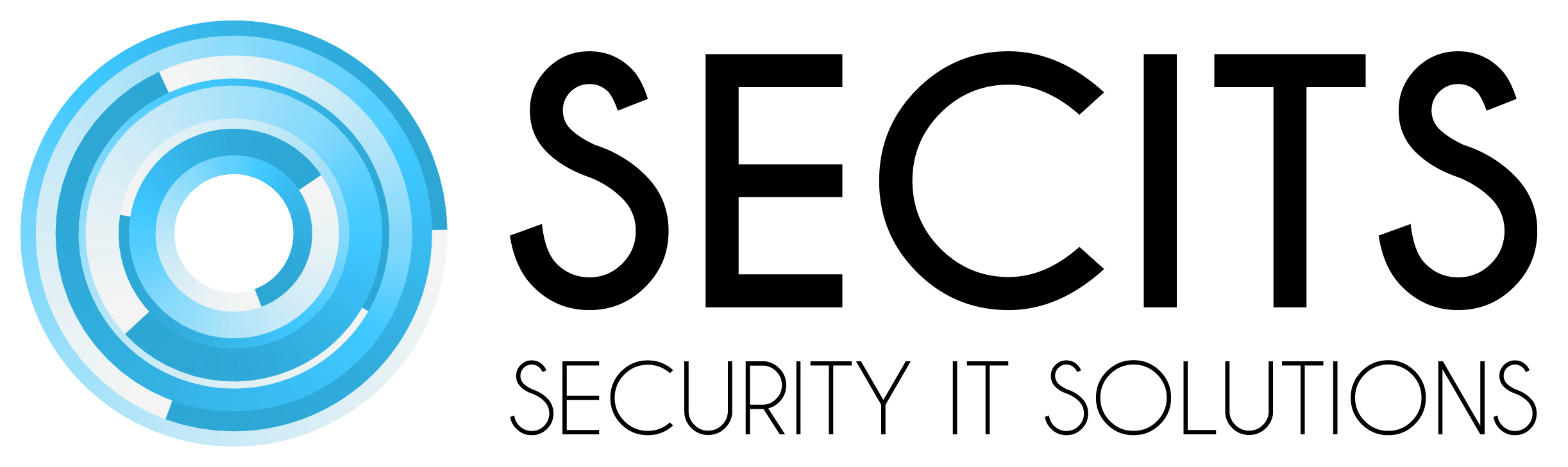 SECITS SECURITY IT SOLUTIONS