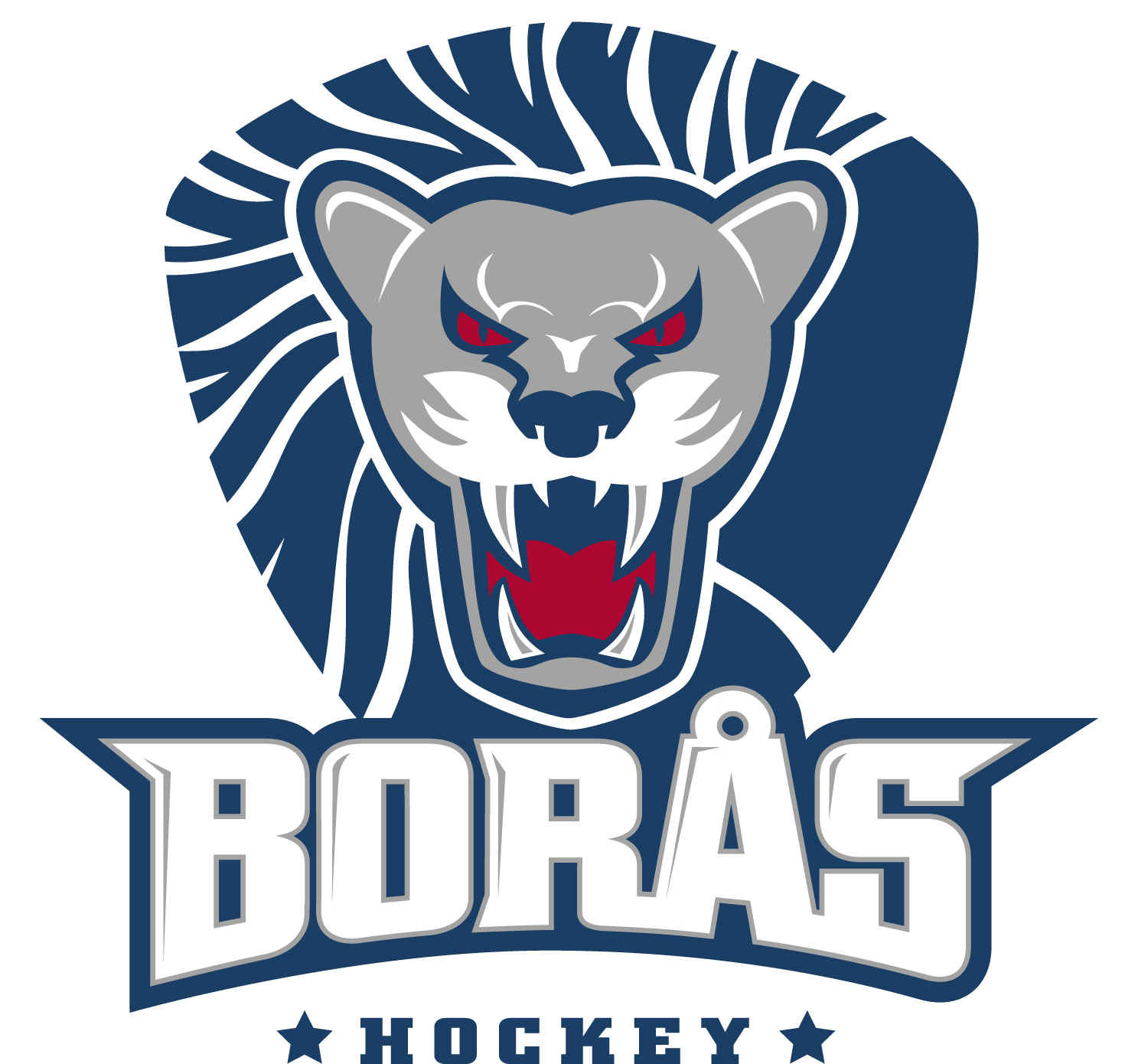 Borås Hockey